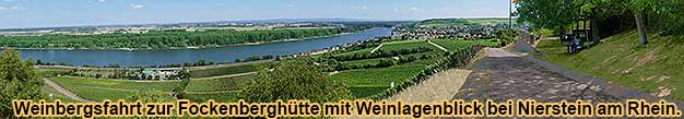 Weinbergsfahrt am Roten Hang bei Nierstein am Rhein