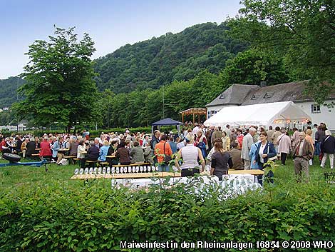 Maiweinfest zwischen Loreley und Rheingau