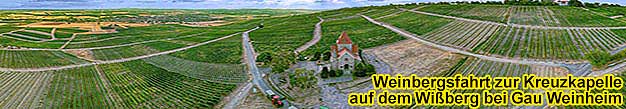 Planwagenfahrt am Wi�berg bei Gau-Weinheim in Rheinhessen